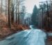 Fog Is Clearing Over A Rainy Country Road In Narrowsburg