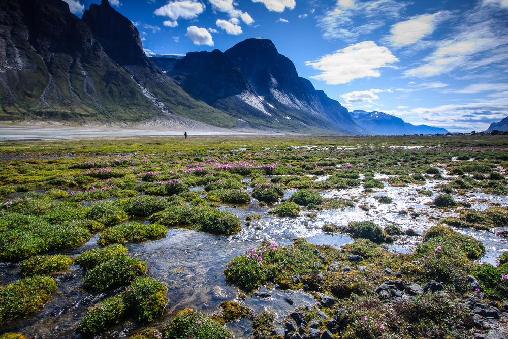 Boggy ans watery hike along the trail in Akshayuk Pass, Baffin Island, Nunavut