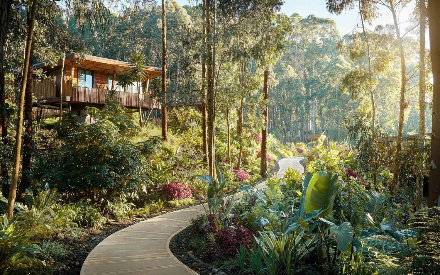 Individual free-standing lodges and suites sit suspended over sprawling gardens at eye level with the tall eucalyptus trees and volcanic surroundings.