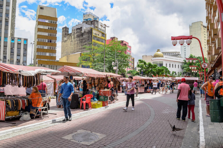 Sao Paulo Sp Brazil - March 03 2019: People At the street Market Known as Feira Da Liberdade liberty Fair or Japanese Fair