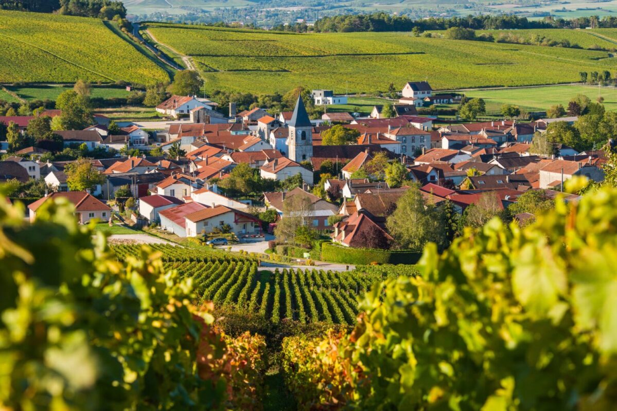 Champagne vineyards in the Cote des Bar area of the Aube department near to Baroville, Champagne-Ardennes, France, Europe.