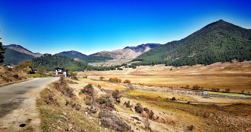 Visit Phobjikha Valley