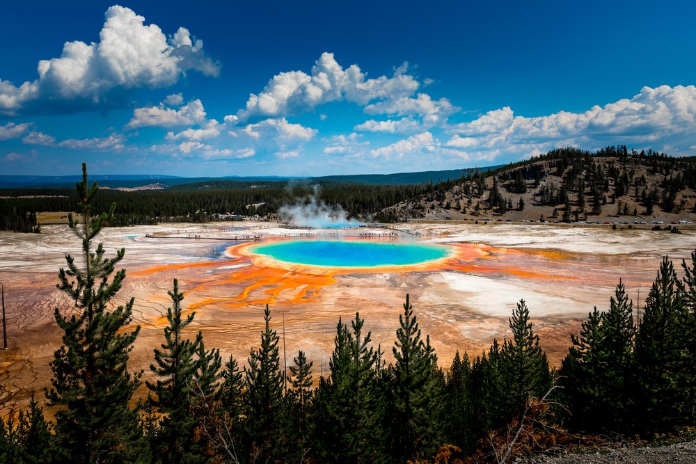 visiting yellow stone national park