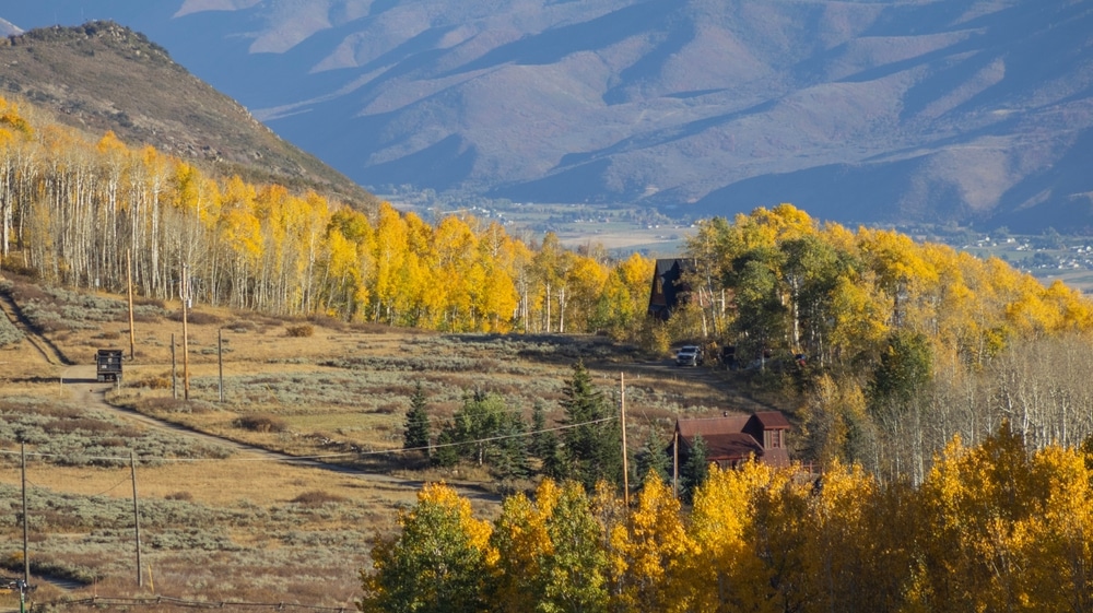 Gorgeous autumn landscape with stunning golden colors of the majestic Aspen treen in Deer Valley, Utah at Bonanza Flats in Guardsman Pass.